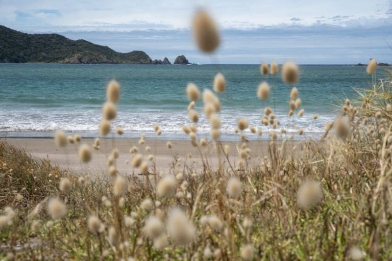 Photo of property in 14 Logan Nicks Place, Whangaruru, Russell, 0184