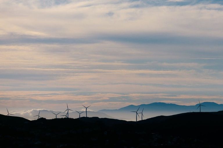 Photo of property in 38 Tea Tree Lane, Woodridge, Wellington, 6037