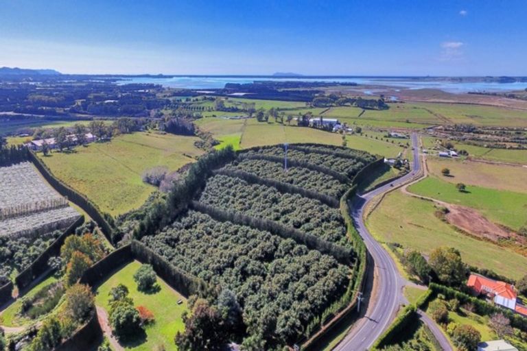 Photo of property in 50 Wright Road, Dairy Flat, Albany, 0794