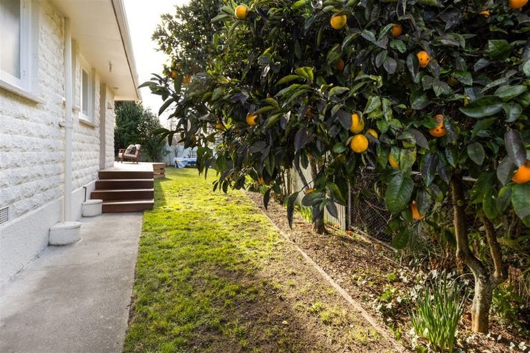 Photo of property in 11 Litchfield Street, Redwoodtown, Blenheim, 7201