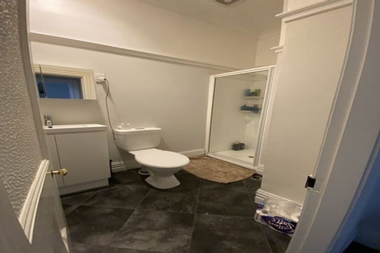 Photo of property in 3 Mckenzie Terrace, Te Aro, Wellington, 6011