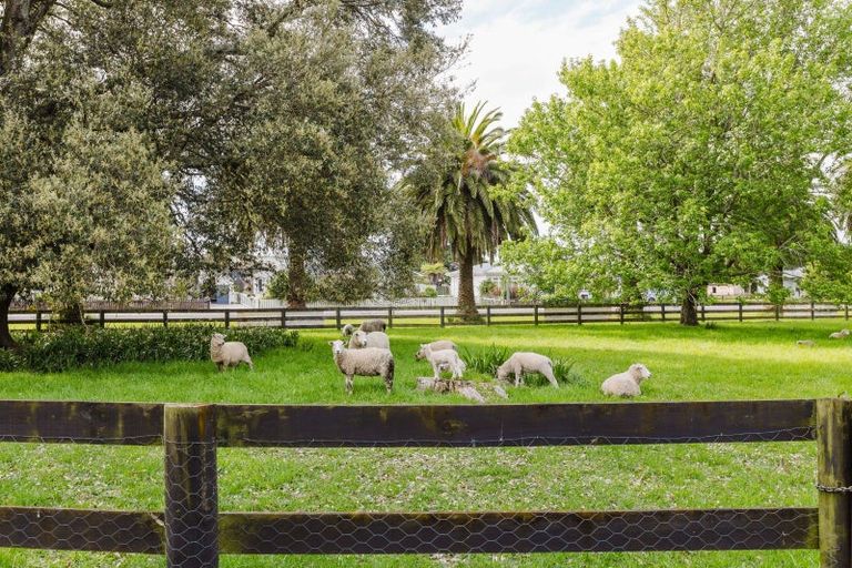 Photo of property in 81861 State Highway 2, Pahiatua, 4910