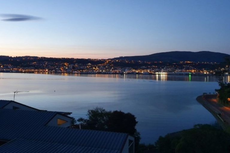 Photo of property in 4 Doon Street, Vauxhall, Dunedin, 9013