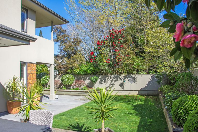 Photo of property in 57c Manuka Street, Lansdowne, Masterton, 5810