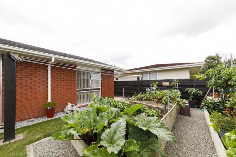 Photo of property in 14a Cecil Place, Cloverlea, Palmerston North, 4412