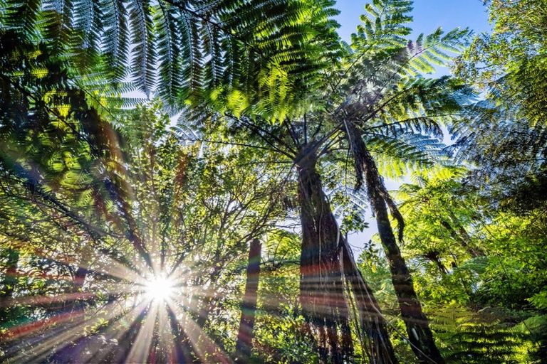 Photo of property in 82 Upland Road, Aongatete, Katikati, 3181