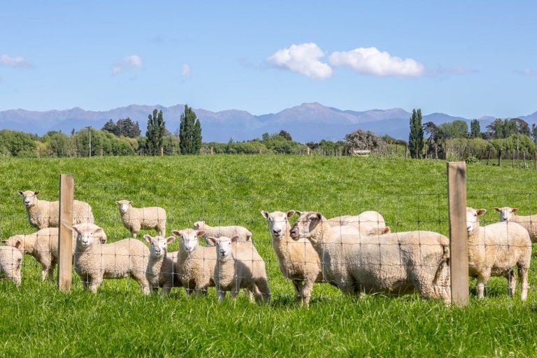 Photo of property in 64 Matapihi Road, Te Ore Ore, Masterton, 5886