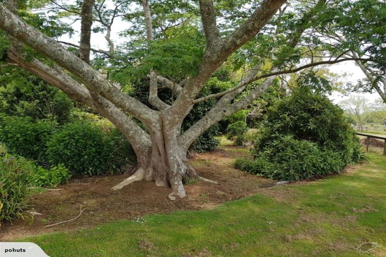 Photo of property in 65 Ruebe Road, Buckland, Pukekohe, 2677