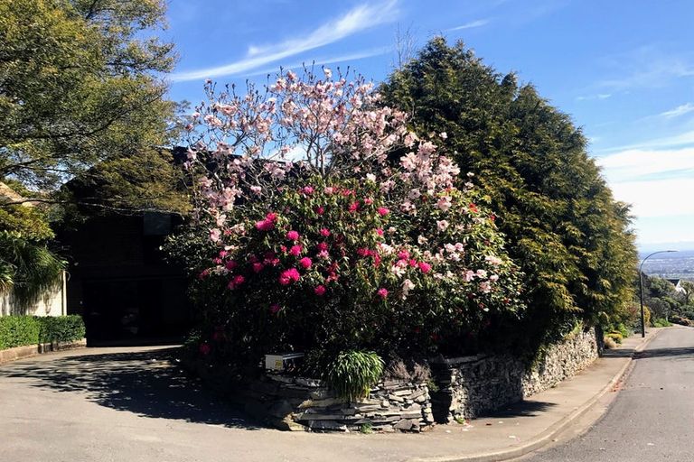 Photo of property in 8 Amherst Place, Cashmere, Christchurch, 8022