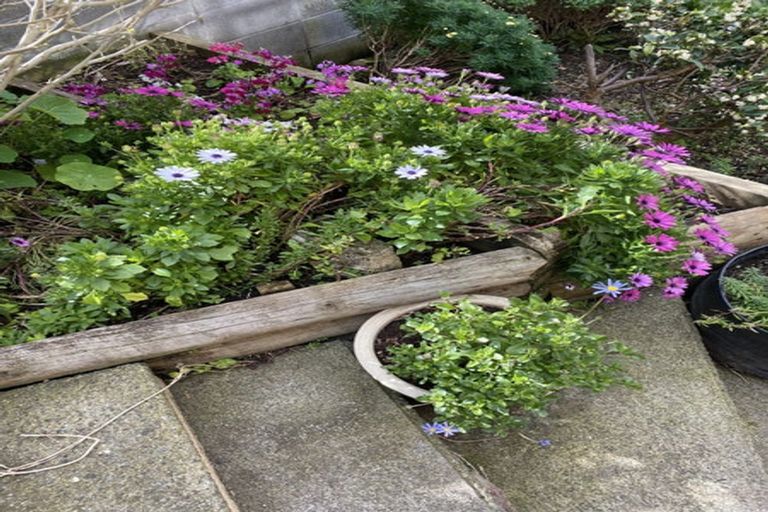 Photo of property in 100 Centennial Avenue, Waitara, 4320