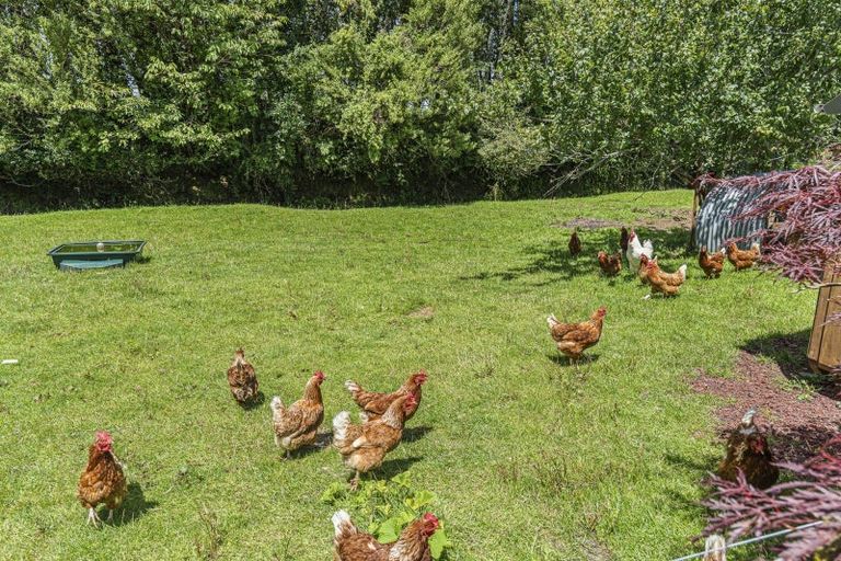 Photo of property in 49 Lepper Road, Inglewood, 4386