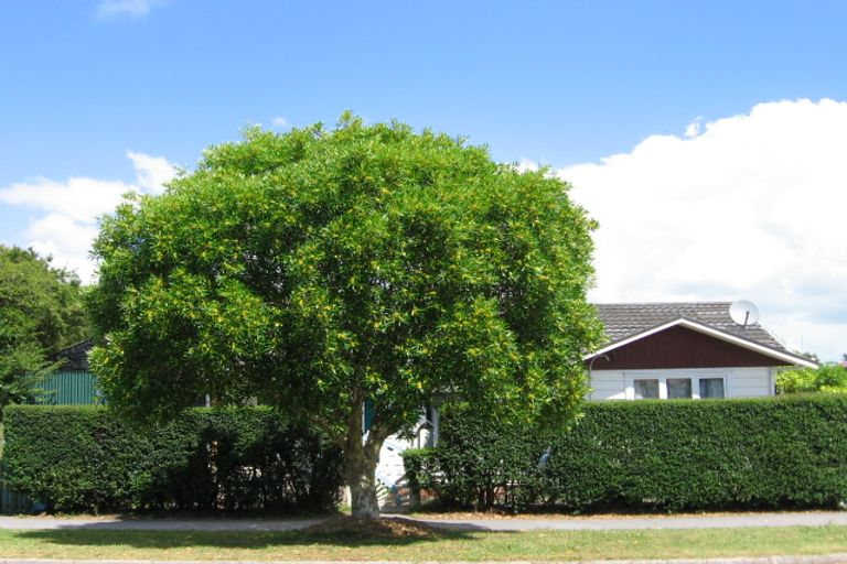 Photo of property in 2 Orchard Street, Avondale, Auckland, 1026