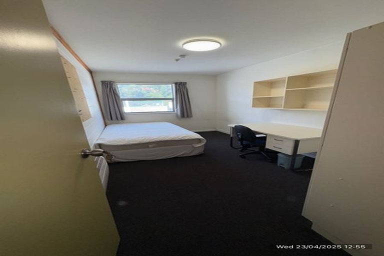 Photo of property in Drummond Street Flats, 16/19 Drummond Street, Mount Cook, Wellington, 6021