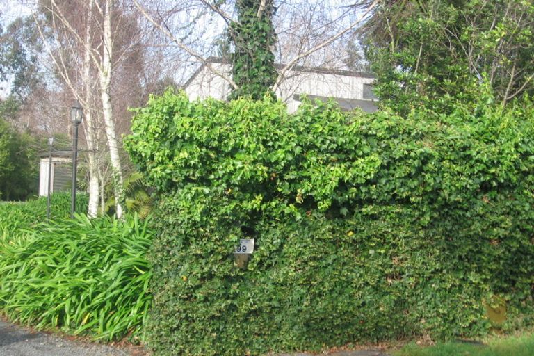 Photo of property in 99 Marne Road, Papakura, 2110