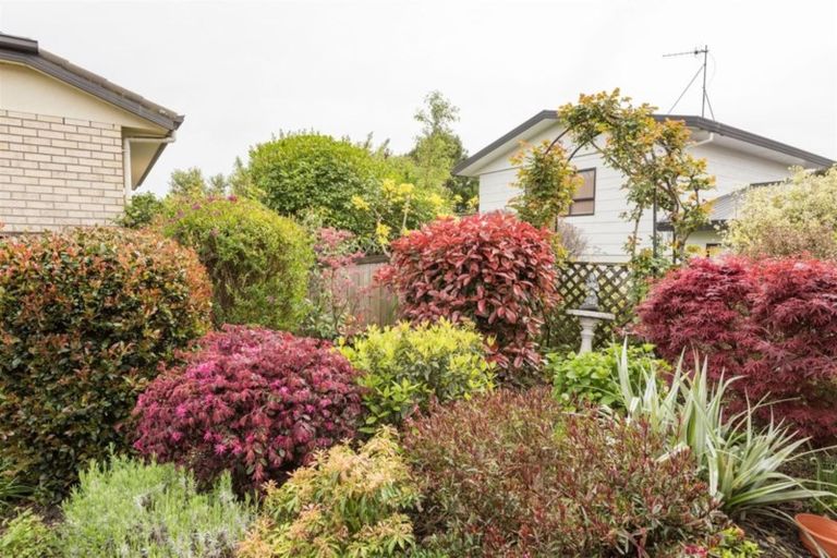 Photo of property in 8 Mata Close, Tahunanui, Nelson, 7011