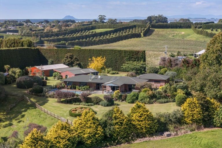 Photo of property in 215 Ongare Point Road, Tahawai, 3170