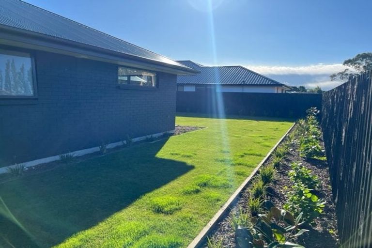 Photo of property in 17 Mcquillan Avenue, Woodend, 7610