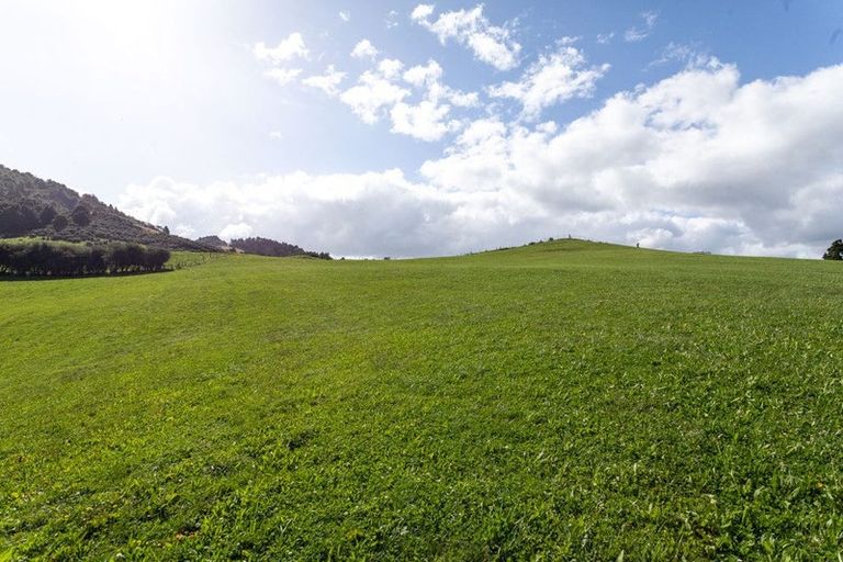 Photo of property in 12 Princes Street, Waikino, Waihi, 3682