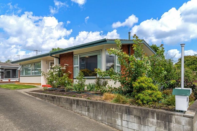 Photo of property in 48a Newcastle Street, Hokowhitu, Palmerston North, 4410