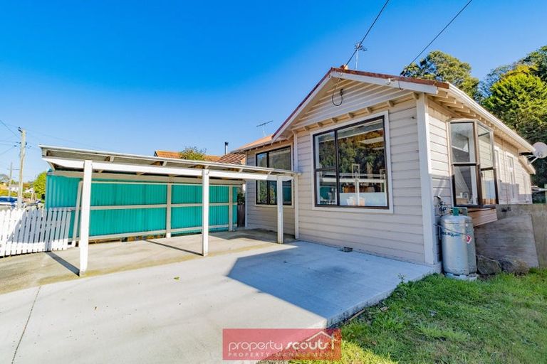 Photo of property in 51 Somerville Street, Andersons Bay, Dunedin, 9013