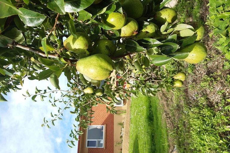 Photo of property in 20 Fairview Terrace, Sawyers Bay, Port Chalmers, 9023