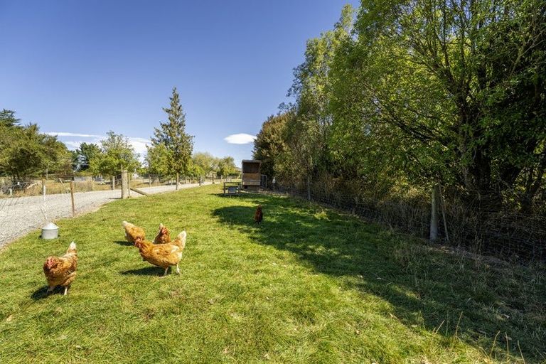 Photo of property in 286 Downs Road, Geraldine Downs, Geraldine, 7991