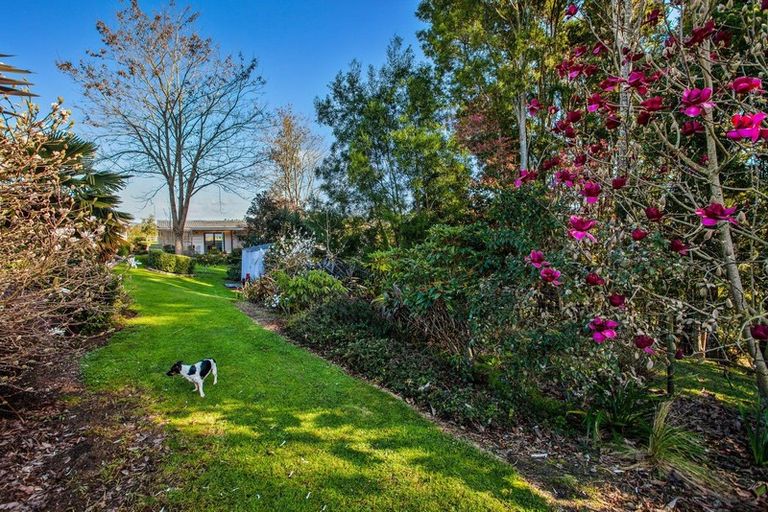 Photo of property in 6 Pukeko Lane, Rotoma, Whakatane, 3192