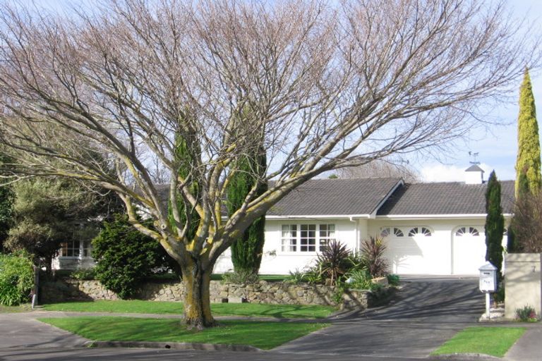 Photo of property in 6 Mana Place, Awapuni, Palmerston North, 4412