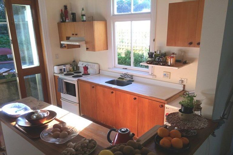 Photo of property in 100 Rolleston Street, Mount Cook, Wellington, 6021