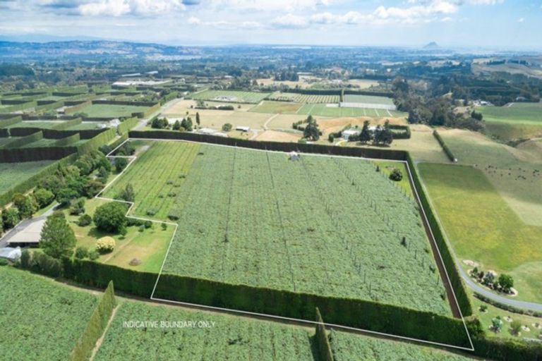 Photo of property in 905 Oropi Road, Oropi, Tauranga, 3173