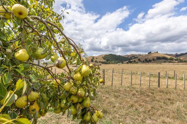 Photo of property in 530 Taniwha Road, Waerenga, Te Kauwhata, 3781