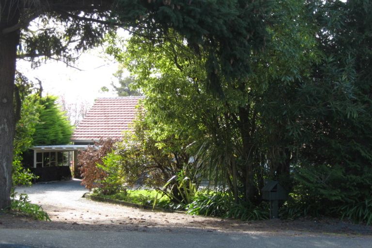 Photo of property in 41 Greenwood Road, Havelock North, 4130