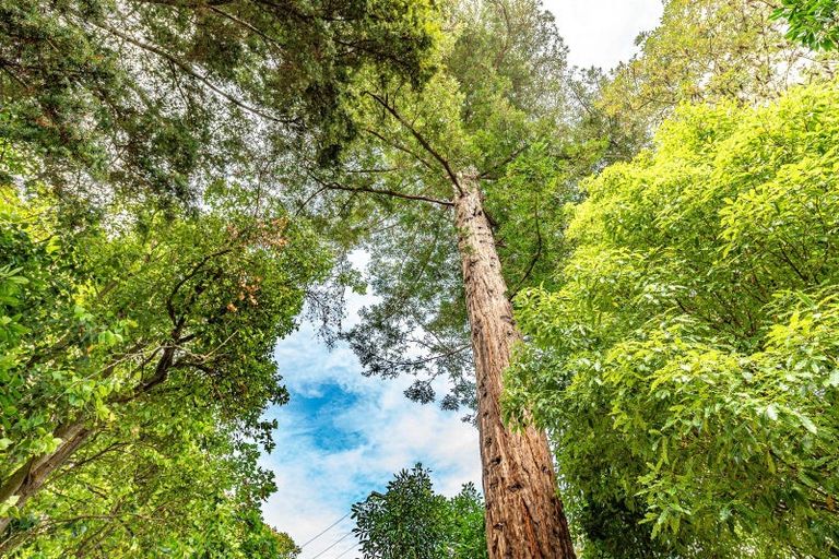 Photo of property in 5 Nile Street, Whanganui East, Whanganui, 4500