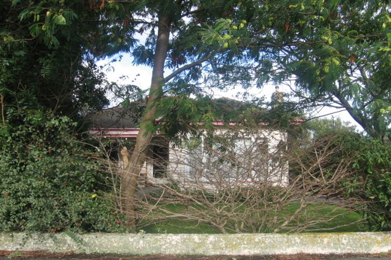 Photo of property in 24 Vernon Avenue, Takaro, Palmerston North, 4412