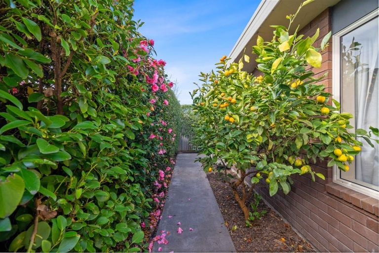 Photo of property in 9 Hope Street, Shirley, Christchurch, 8013