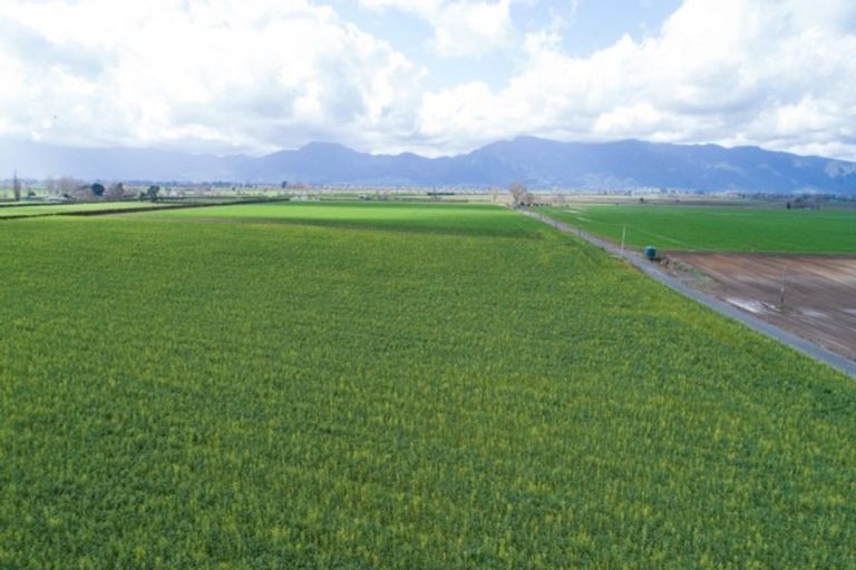 Photo of property in 1310 Alexandra Road, Waharoa, 3474