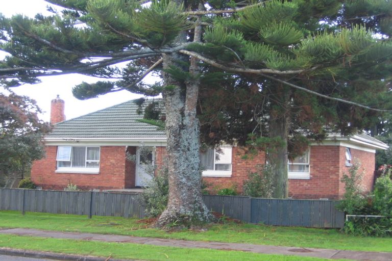 Photo of property in 18 Wintere Road, Papatoetoe, Auckland, 2025