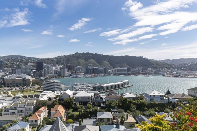 Photo of property in 11 Mcintyre Avenue, Mount Victoria, Wellington, 6011