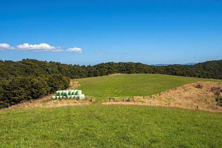 Photo of property in 114 Hay Road, Helena Bay, Hikurangi, 0184