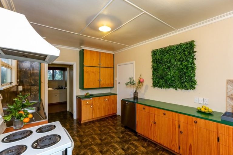 Photo of property in 87 Paynters Avenue, Strandon, New Plymouth, 4312