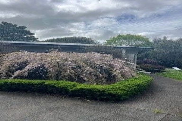 Photo of property in 223d Apotu Road, Kauri, Kamo, 0185