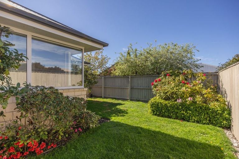 Photo of property in 44 Somerfield Street, Somerfield, Christchurch, 8024
