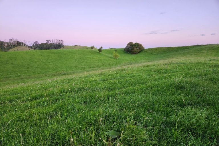 Photo of property in 38 Kupara Road, Ratapiko, 4390