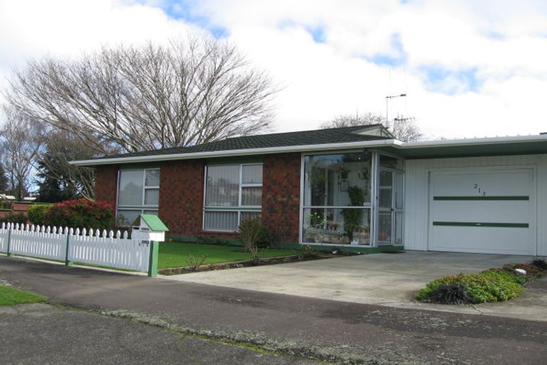 Photo of property in 213 Vogel Street, Roslyn, Palmerston North, 4414