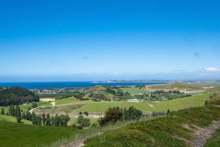 Photo of property in 229 Eskridge Drive, Eskdale, Napier, 4182