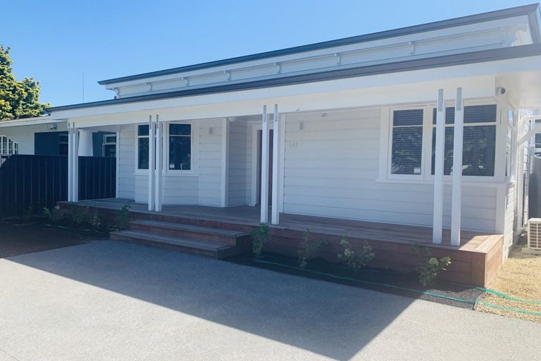 Photo of property in 99 Georges Drive, Napier South, Napier, 4110