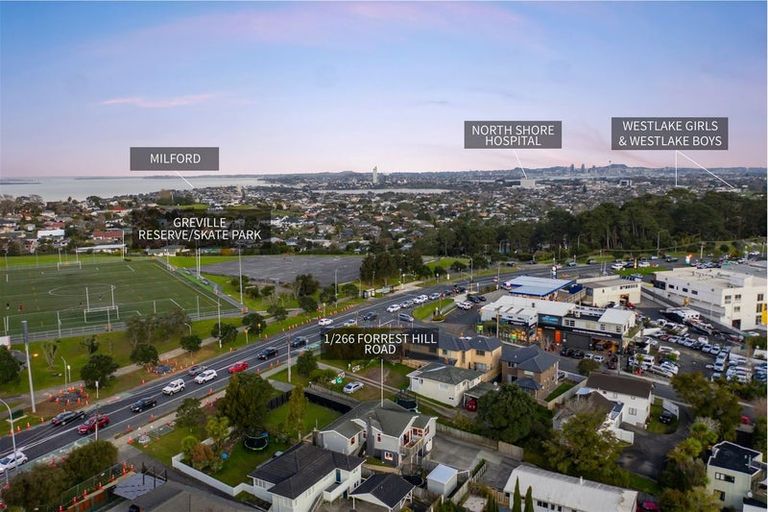 Photo of property in 1/266 Forrest Hill Road, Forrest Hill, Auckland, 0620
