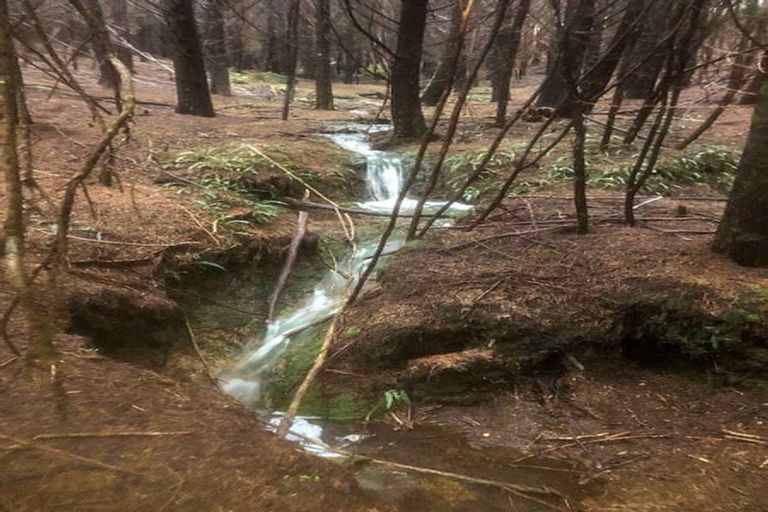 Photo of property in 88 Leccino Valley Road, Mangonui, 0494