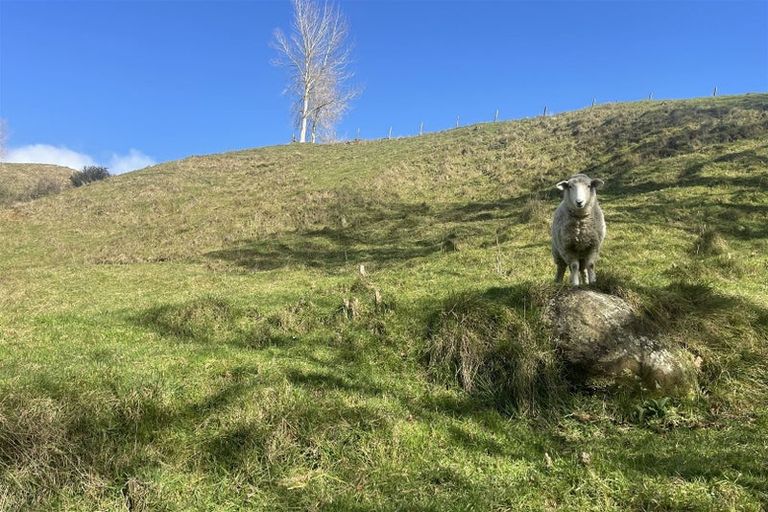 Photo of property in 346 Tauraroa Valley Road, Maihiihi, Otorohanga, 3975