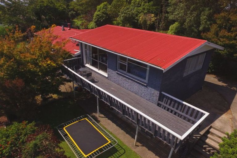 Photo of property in 17 Anderson Street, Putaruru, 3411